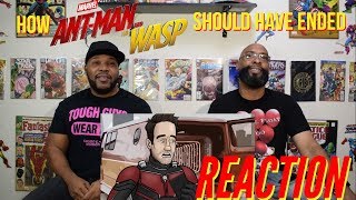 How Ant-Man and The Wasp Should Have Ended Reaction
