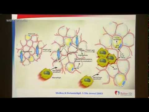 Video: Uppreglering Av Heparanas Från Adipocyt Förknippas Med Inflammation Och Endotelskada I Diabetisk Tillstånd