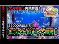 【502日目】P大海物語5！○○な台を打って大連チャン！（ガチ実践動画2023/3/10）