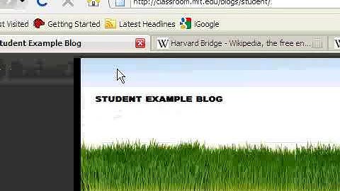Blogging Part 3: Customizing and Organizing your Blog