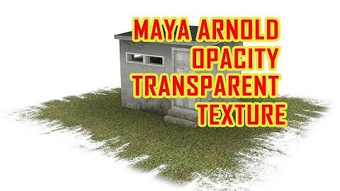 opacity map IN MAYA | Maya Arnold Opacity transparent texture