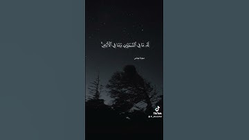 شاركنا الأجر #ارح_سمعك #بر_الوالدين #الأم #الأب #رمضان #العيد #الحج #الصلاة #قرآن_كريم #تلاوة_خاشعة