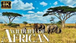 4K African Safari Wildlife: Wild Animals in Arusha National Park With Relaxing Music