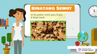 Video materi pembelajaran anak tk -