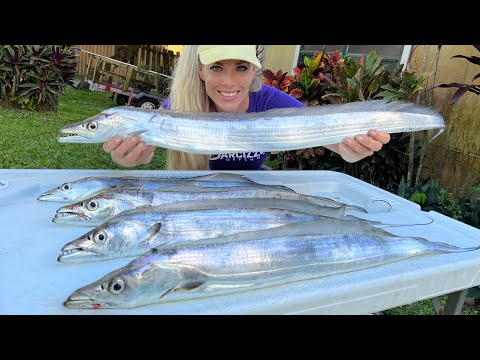 Florida Inshore Fishing for Ribbonfish (how to catch, clean & cook)