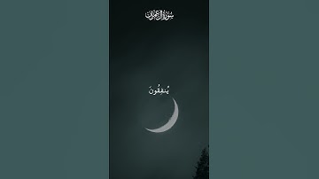 #قران_كريم #قرآن #قران #تلاوات_خاشعة #تلاوات #تلاوة #تلاوة_خاشعة #سورة