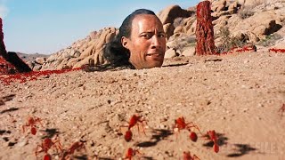 قاتل مأجور بيتم دفنه حي لكنه بيقدر يهرب وينتقم من إللي قتلوا اخواته｜ملخص فيلم The Scorpion king