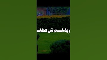 الشيخ محمود الحصري رحمه الله ♥| سورة الشورى الآية 25