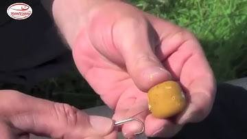 Câu mồi Boilies - Đơn giản, hiệu quả, nhàn nhã (Рыбалка с приманкой)