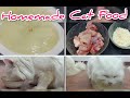 Homemade cat food || Persian cat food recipe || how to make cheap  homemade cat food at home ||Part1