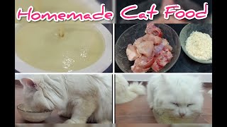 Homemade cat food | how to make cheap homemade cat food at home | funny cats |Persian cat food | cat