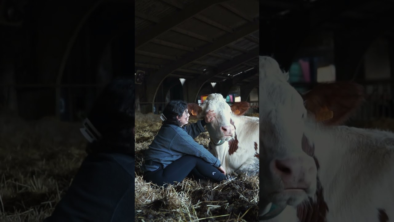 Moments de calma amb l'Aran #farmlife
