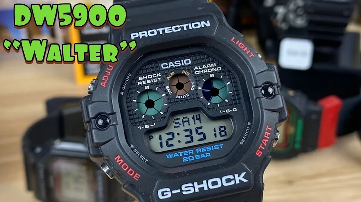 G-Shock dw5900 Walter