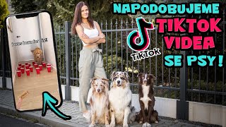 Napodobujeme TIKTOK TRENDY s mými psy | Vtipná TikTok videa s pejsky