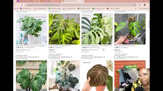 HOW TO BUY HOUSEPLANTS ON ESTY WITHOUT GETTING SCAMMED!!