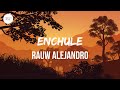 Rauw Alejandro - Enchule (Letra/Lyrics)