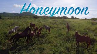 Vieques - Drone Montage