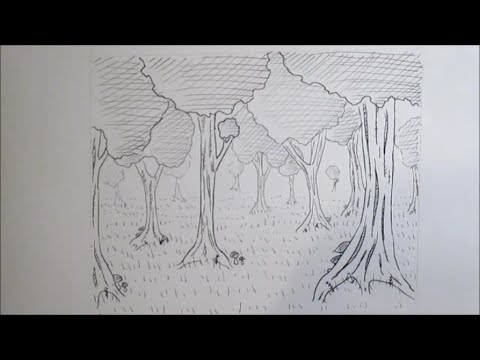 Video: Kuinka Piirtää Metsä