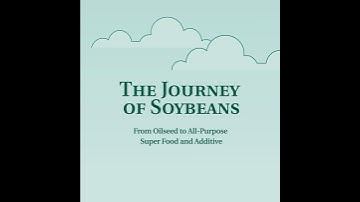 Soybean Farming & Production | How Are Soybeans Grown and Processed