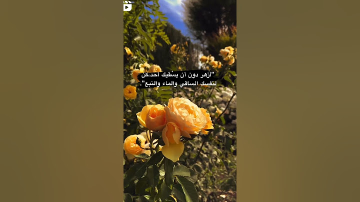 اصنع السعادة لنفسك ولا تنتظرها من أحد