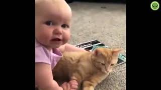 Free Baby WhatsApp status : Baby and Cat Fun and Fails - Funny Baby Video