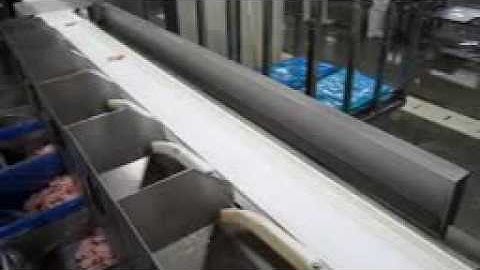 chicken wings weight sorting machine from Shanghai Fanchi-tech