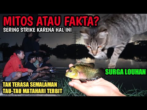 PERCAYA GAK PERCAYA KALO PINGIN STRIKE BERKALI-KALI LAKUKAN HAL INI - Mancing Ikan Louhan (part 1)