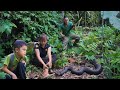 My worst day, while picking bamboo shoots, my wife was bitten by a poisonous snake, survival alone