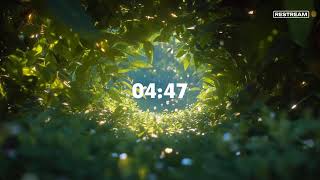 Live with Restream, May 15