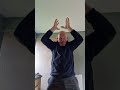 chinese Reiki ( Shun Qi Shen)