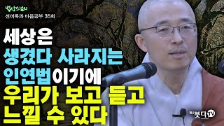 세상은 생겼다 사라지는 인연법이기에 우리가 보고 듣고 느낄 수 있다 | 법상스님의 행복한 마음공부 선어록과 마음공부 35회(18-1) 말씀 인생상담 명상