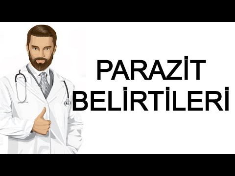 Video: Ne A Treat: En İyi Köpek Davranışlarını Seçme