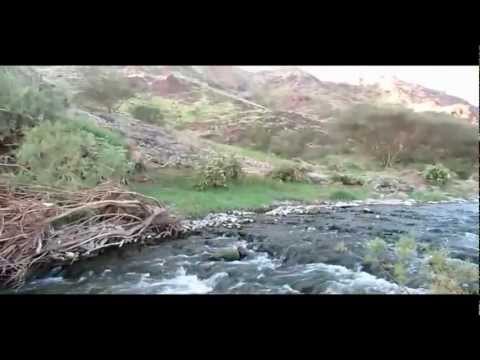 الربيع في وادي حجر