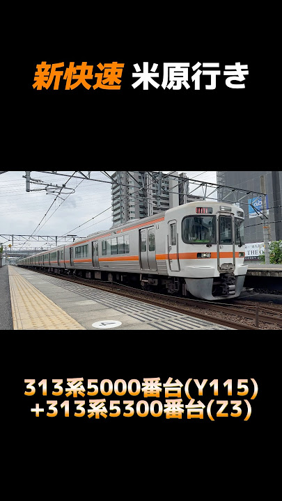 JR東海313系5000番台 (Y115編成) 313系5300番台 (Z3編成) 新快速 米原行き #shorts #313系 #jr東海 #313系5000番台 #313系5300番台 #東海道線