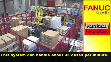M-410iB Palletizing Various Size Cases - FANUC Robotics Industrial Automation