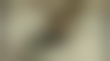 Realistic Ragdoll Force Comparison - Fallout 4