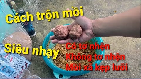 Cách trộn mồi câu và mồi xã hiệu quả - Tập Câu Cá