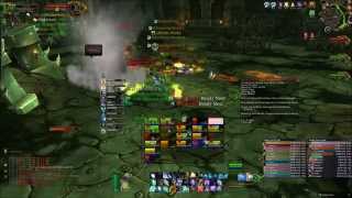 Hellfire Assault Heroic Patch 6.2 - HD Resto Druid PoV