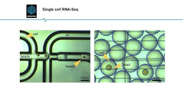 Single Cell RNA Sequencing (ARCHIVE)