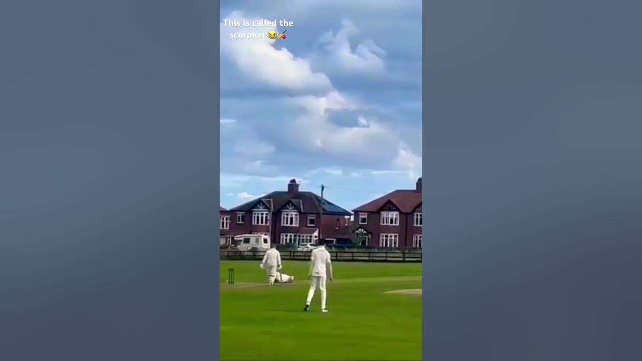 FUNNIEST CRICKET DELIVERY YOU WILL EVER SEE!!! YouTube