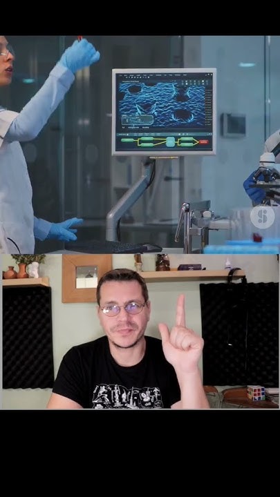 Что такое жиры в организме человека и какие функции они выполняют? ☠️ ...