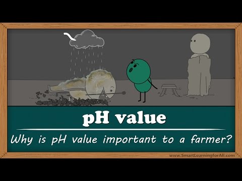 Video: Bakit bumababa ang basicity ng hydride pababa sa grupo?