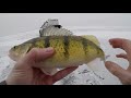 Ice Fishing for Perch on Last Mountain Lake