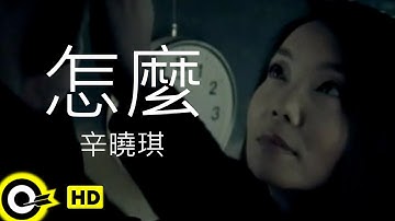 辛曉琪 Winnie Hsin【怎麼 What’s wrong】Official Music Video