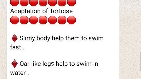 Adaptations of a Tortoise std4 EVs unit 1 Fields and Forests Changayi vlog YouTube Channel