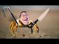 FIGHT CRAB