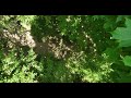 Secret Dreams Music &amp; Arts Festival - Venue Upgrades