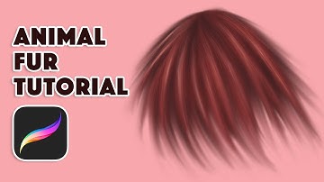 Animal Fur Tutorial In Procreate | Procreate Tutorial For Beginners
