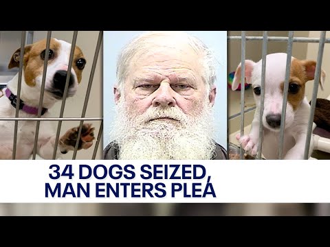 Washington County dogs seized, man pleads no contest 