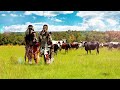 Inkabi Zezwe ft Sjava & Big Zulu - Uthando Lunye  [Official Visualiser]